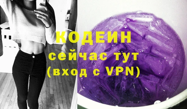 прущие грибы Слюдянка