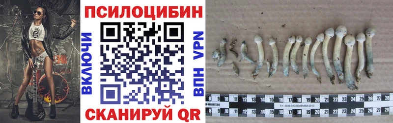 Галлюциногенные грибы Psilocybine cubensis  Алупка 
